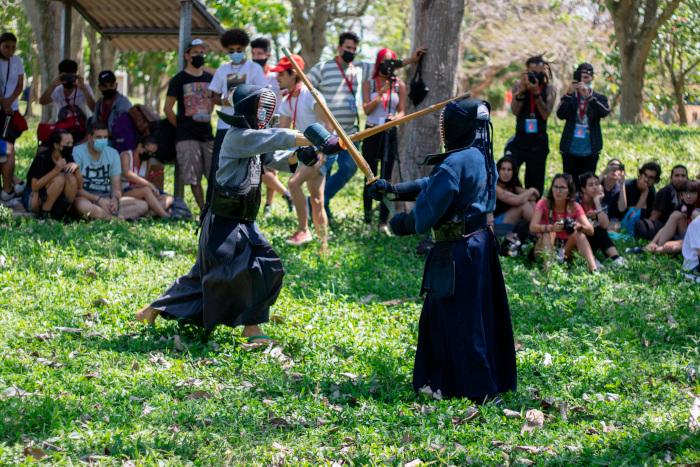 Artes marciales