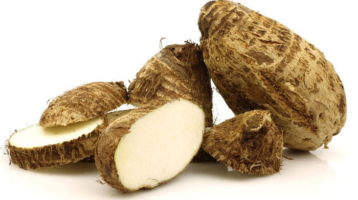 El ñame -tubérculo comestible del género Dioscorea- que consume tradicionalmente la población cubana, proviene en casi el 100 por ciento de productores de las serranías, y es donde mayormente existe la cultura de consumirlo como una vianda que se cosecha en un término de 10 a 12 meses tras la siembra. Foto: Tomada de acn.cu El ñame: resiliente, rústico, económico, de altos rendimientos