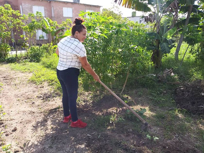 Fotos: Tomadas de eseuro.com Familias camagüeyanas reciben condición Mi Patio También Produce