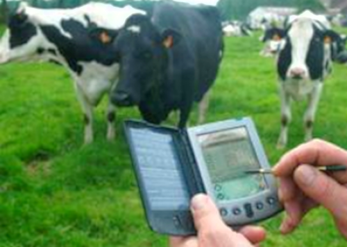 Foto: Tomada de elproductor.com Proyecto internacional de ganadería de precisión se aplica en Camagüey
