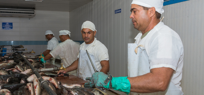 PescaCam repasó su 2022