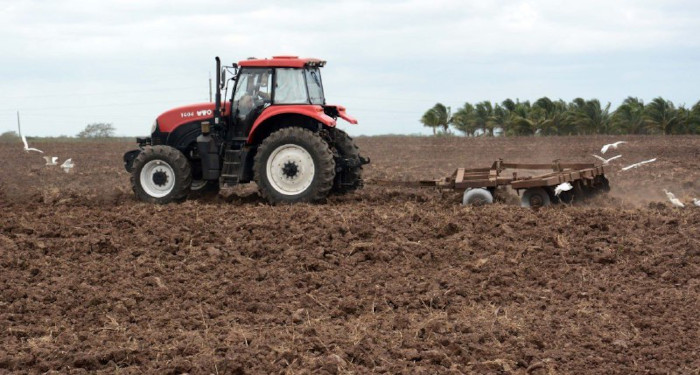 Foto: Rodolfo Blanco Cué/ ACN Camagüey por más producción de alimentos