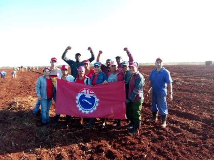 Foto: Tomada de radiocubitas.icrt.cu A los trabajadores agramontinos: felicidades y adelante