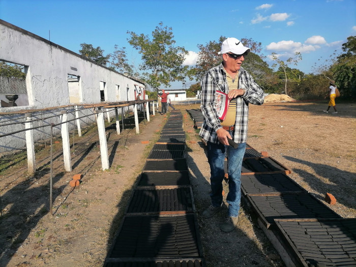 Una muestra de las briquetas puestas al sol. Foto: Gladys Dailyn Morera Cordero/ Colaboradora Producen en Sibanicú fuente alternativa de energía