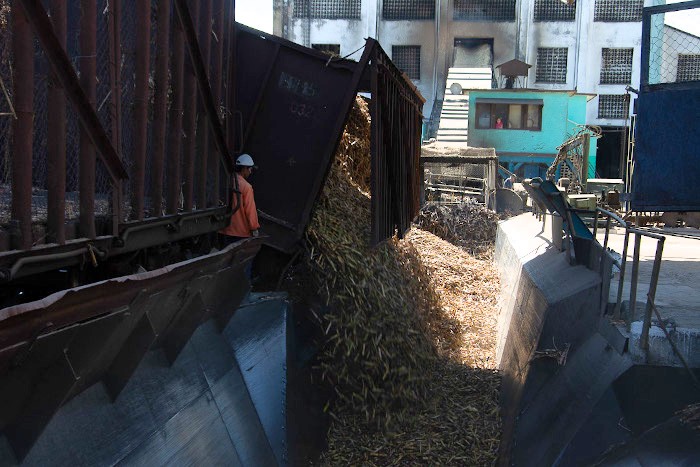 Fotos: Leandro Pérez Pérez/ Adelante A pesar de las carencias se cosecha caña en Camagüey