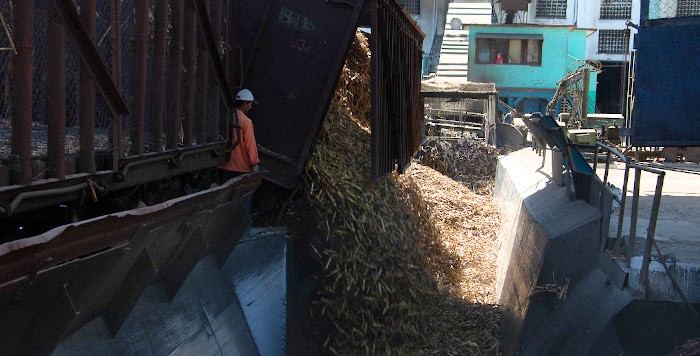A pesar de las carencias se cosecha caña en Camagüey