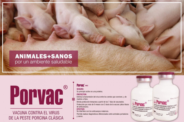 Foto: Tomada de cuba.cu Desde Camagüey exportan por primera vez vacuna Porvac