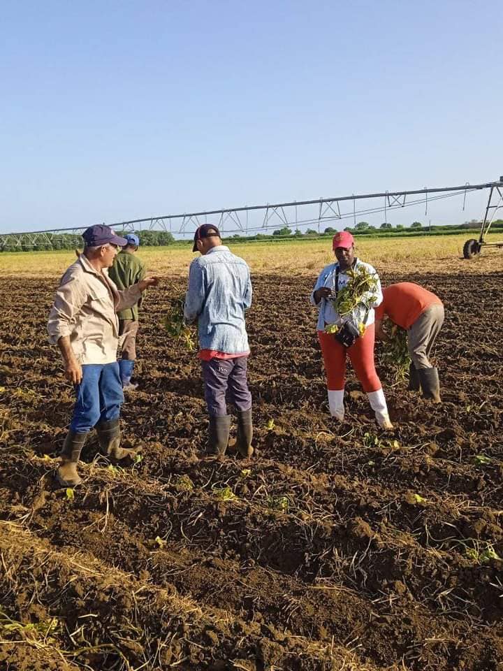 Foto: Tomada deRadio Santa Cruz del Sur