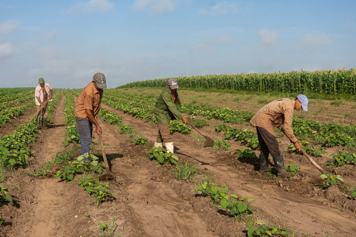 Fotos: Leandro Pérez Pérez/ Adelante “Producir, producir y producir”