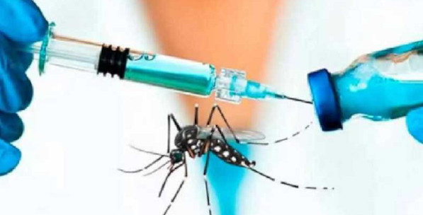 Cuba tendrá su vacuna contra el dengue