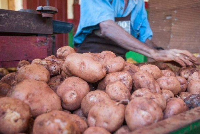 Foto: Archivo Venta de papa regulada en Camagüey