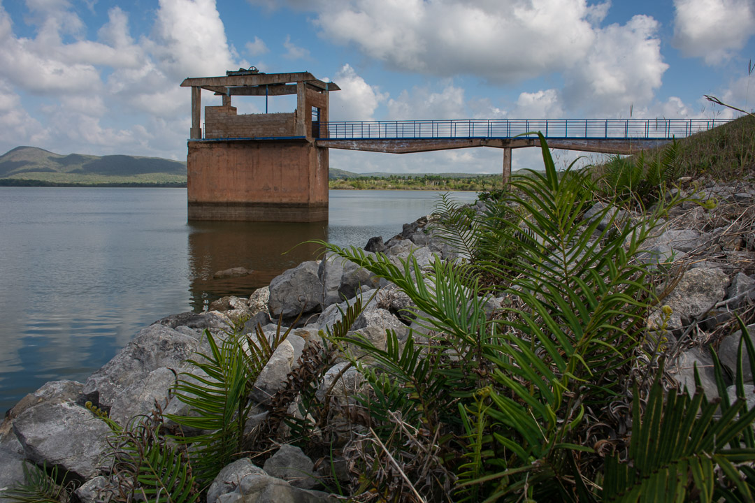 Fotos: Leandro Pérez Pérez/Adelante