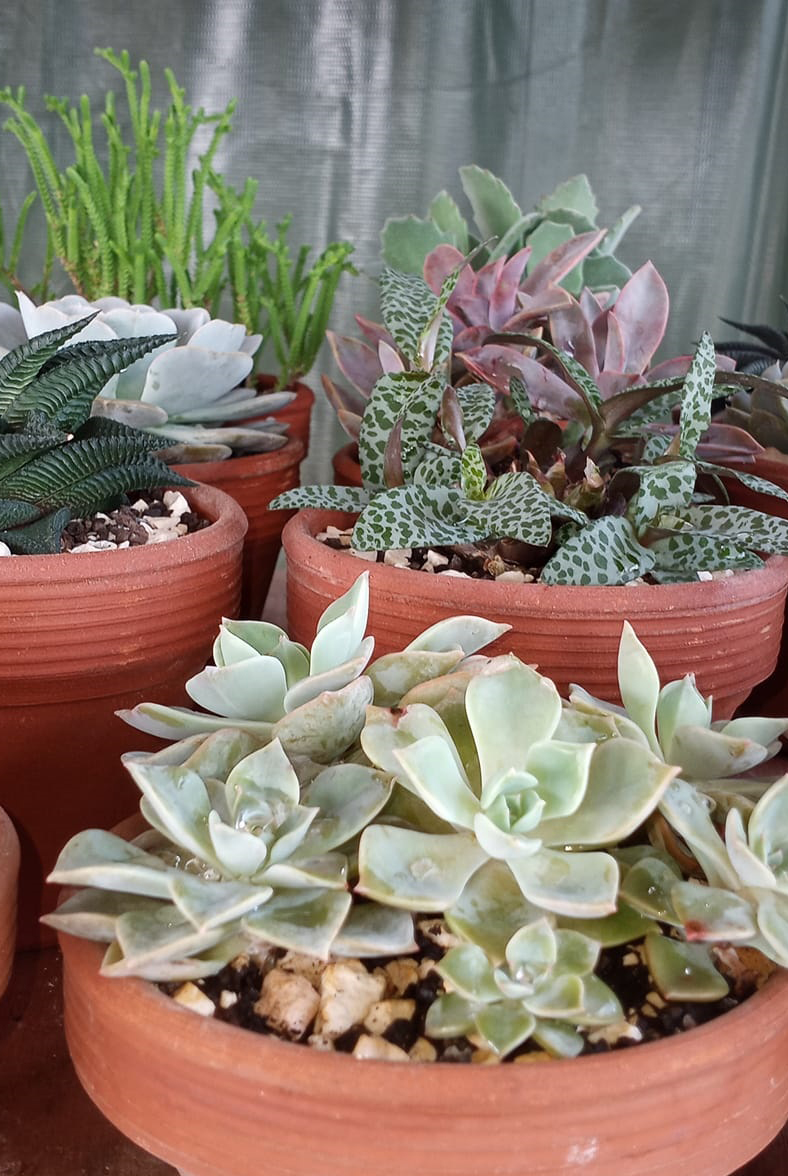 Fotos: Cortesía de Maritza Amarales