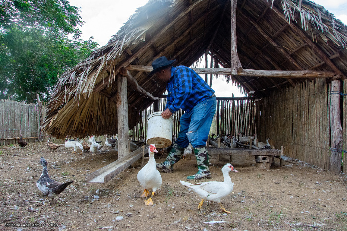 Fotos: Alejando Rodríguez Rodríguez/ Adelante ¿Azumat asume su soberanía alimentaria?