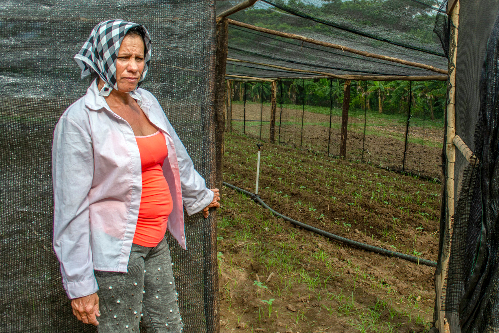 Ellas cuentan: la participación y el liderazgo de las mujeres rurales