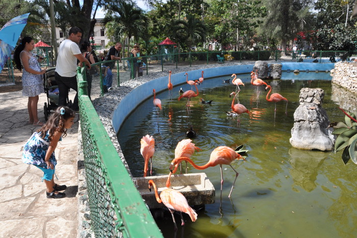 Foto: Adelante