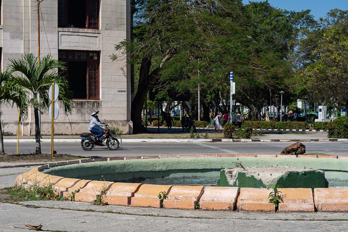 Fotos: Leandro Pérez Pérez/ Adelante  Parábola de los flamencos y el cisne