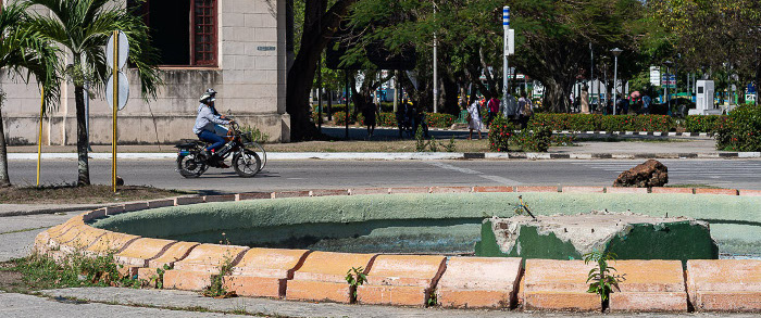 Parábola de los flamencos y el cisne