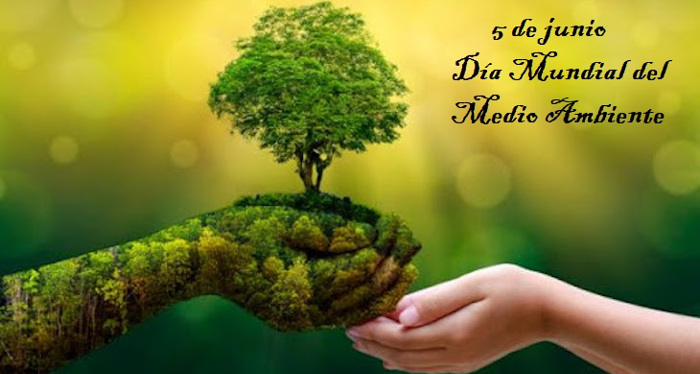 ¿‬Sembramos boniato o protegemos el medio ambiente‭?