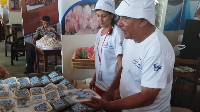 Expocam en nueva versión