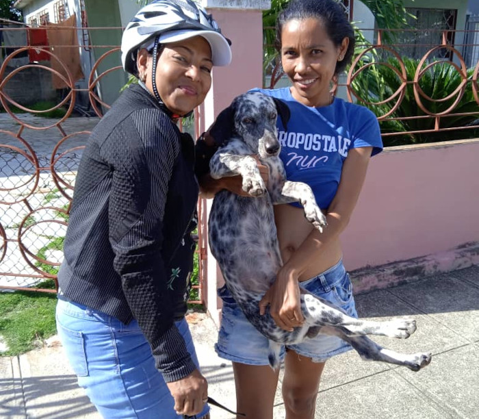 Cuidado animal en nombre de la vid