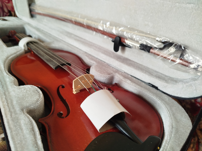 Un violín pequeñito, una gran promesa