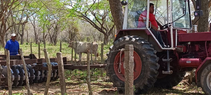 Producción de leche y carne resalta en finca de Jimaguayú