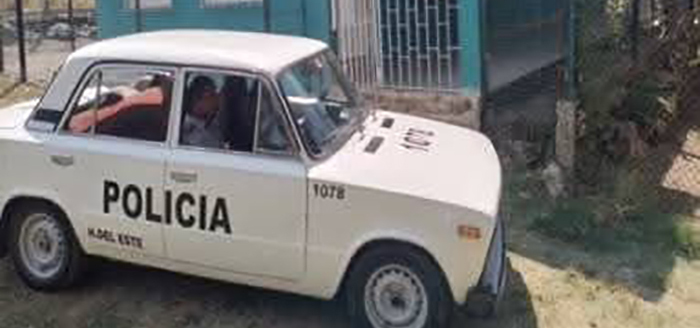 Desmantelan en La Habana plantación de marihuana 