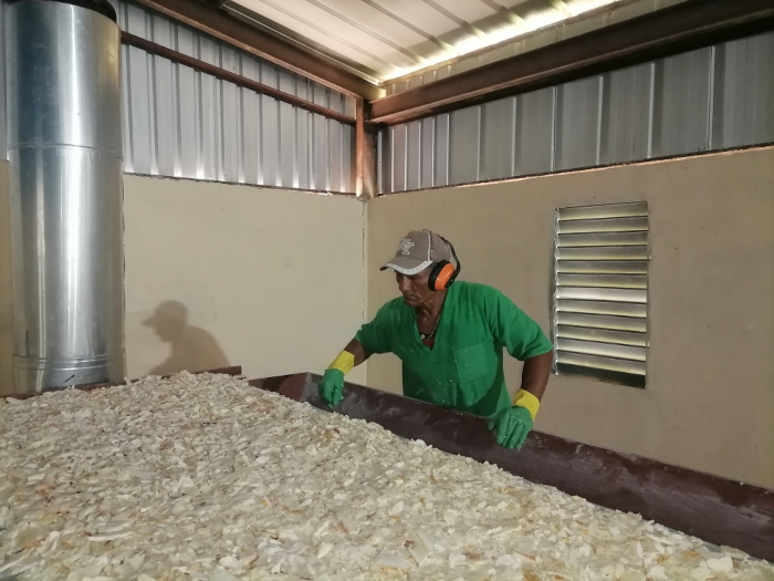 Foto: tomada de cadenagramonte.cu n de harina de yuca y deshidratados