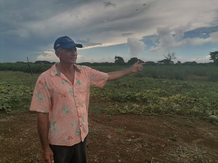 Foto: Tomada de radiocamaguey.icrt.cu Productor camagüeyano destaca en ganadería y cultivos varios
