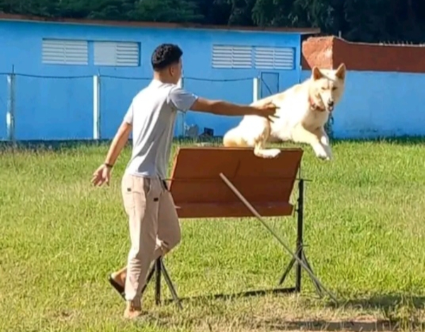Fin de semana con Deporte Canino