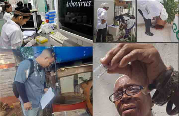 Incrementan acciones ante circulación de arbovirosis