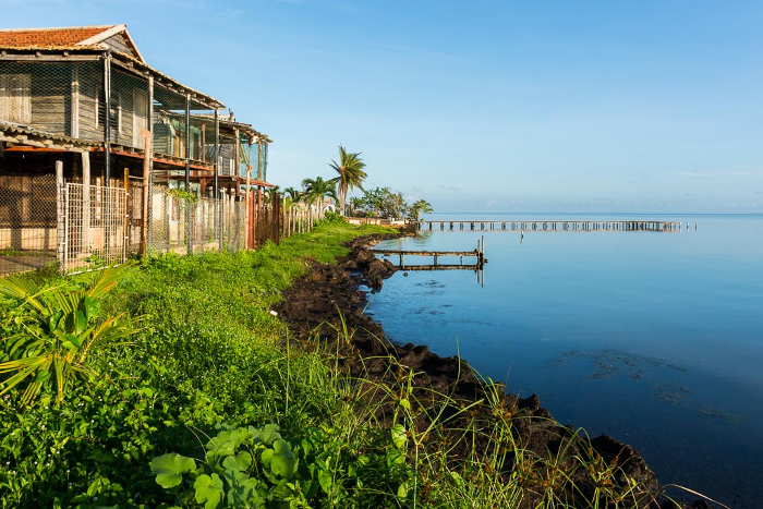 Foto: Leandro Pérez Pérez/ Adelante/ Archivo