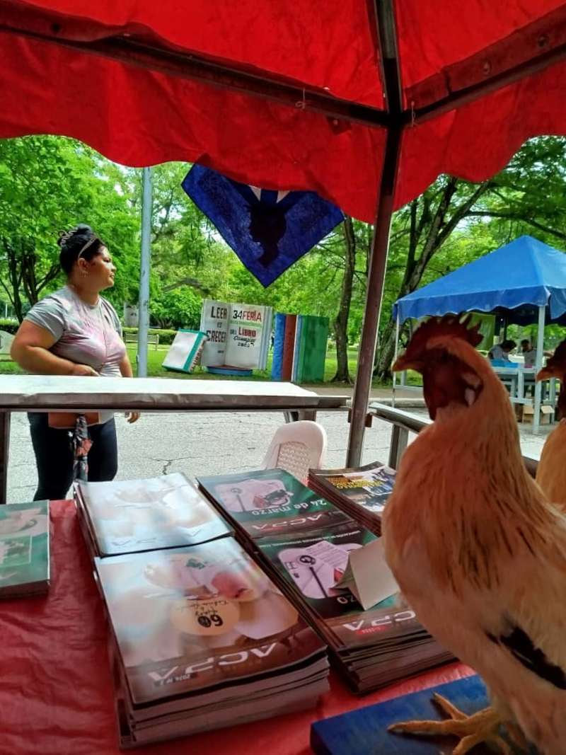 Los libros que también saben de animales
