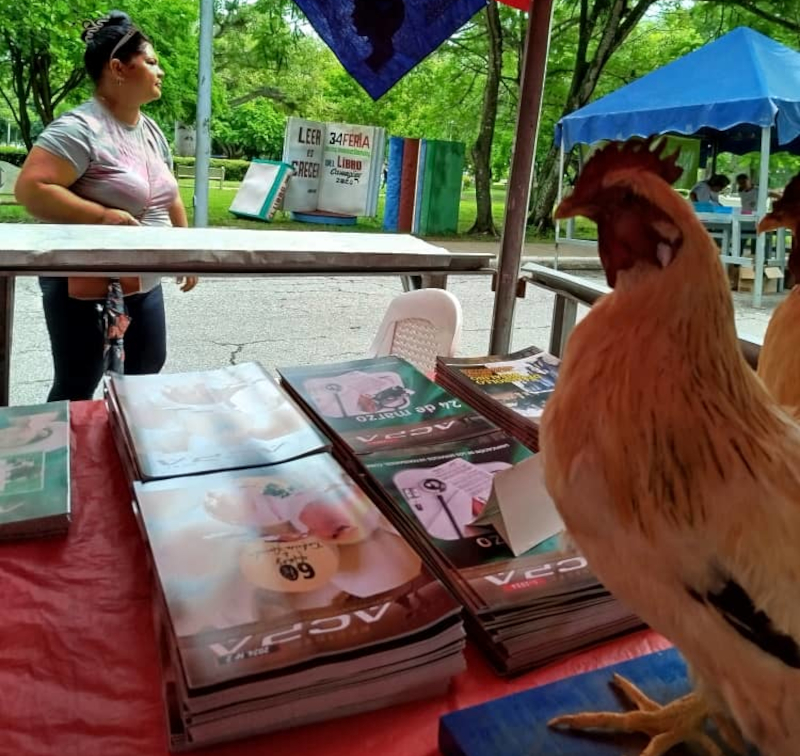 Los libros que también saben de animales