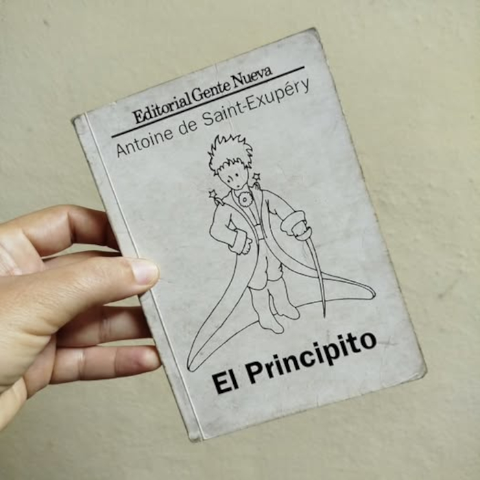 Cuando el Principito llega al desierto de casa