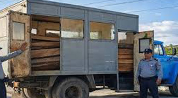 Detienen cargamento ilegal de madera en Camagüey